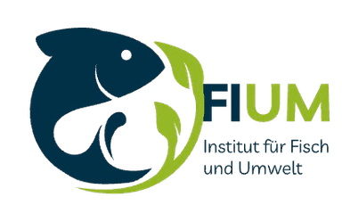 FIUM